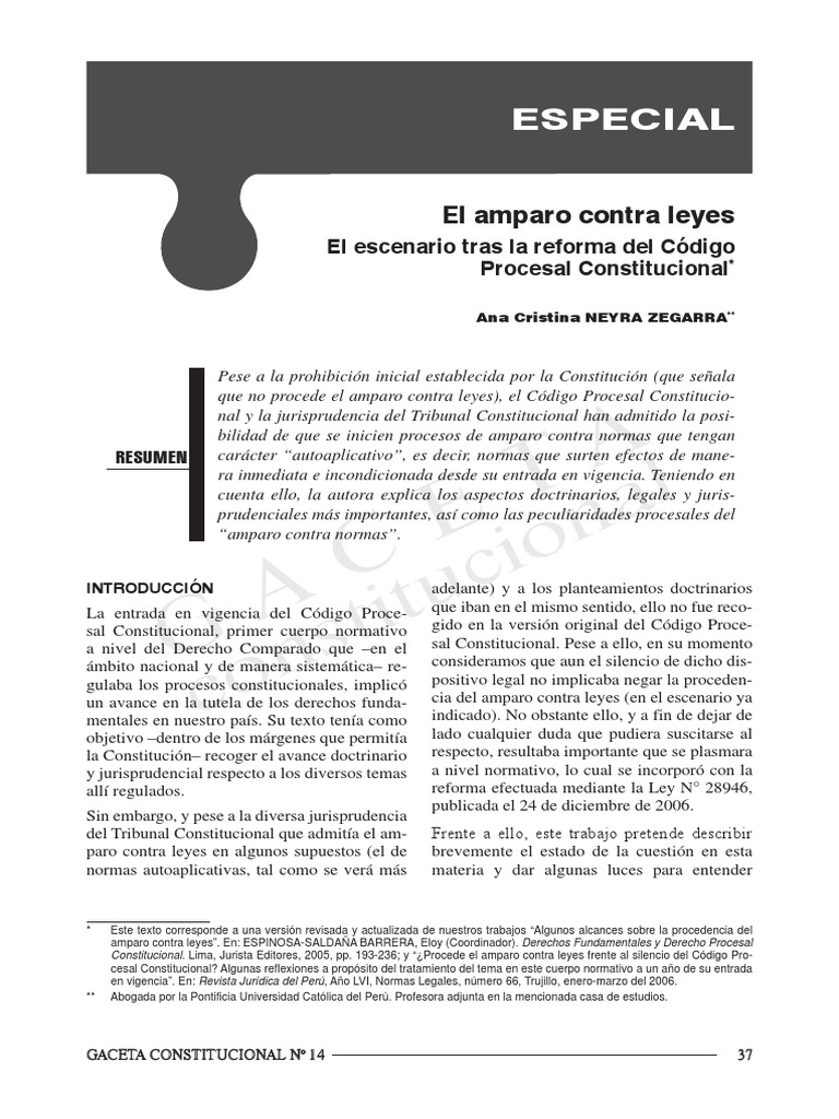 El Amparo Contra Leyes El Escenario Tras | PDF | Ley procesal | Ley ...