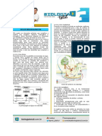 Ciclos Biogeoquimicos