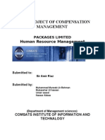 Download Final Project of Compensation Management by Gali Wala SN56444986 doc pdf