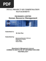 Download Final Project of Compensation Management by Gali Wala SN56444986 doc pdf