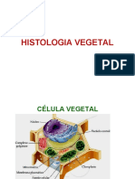 Tecidos Vegetais