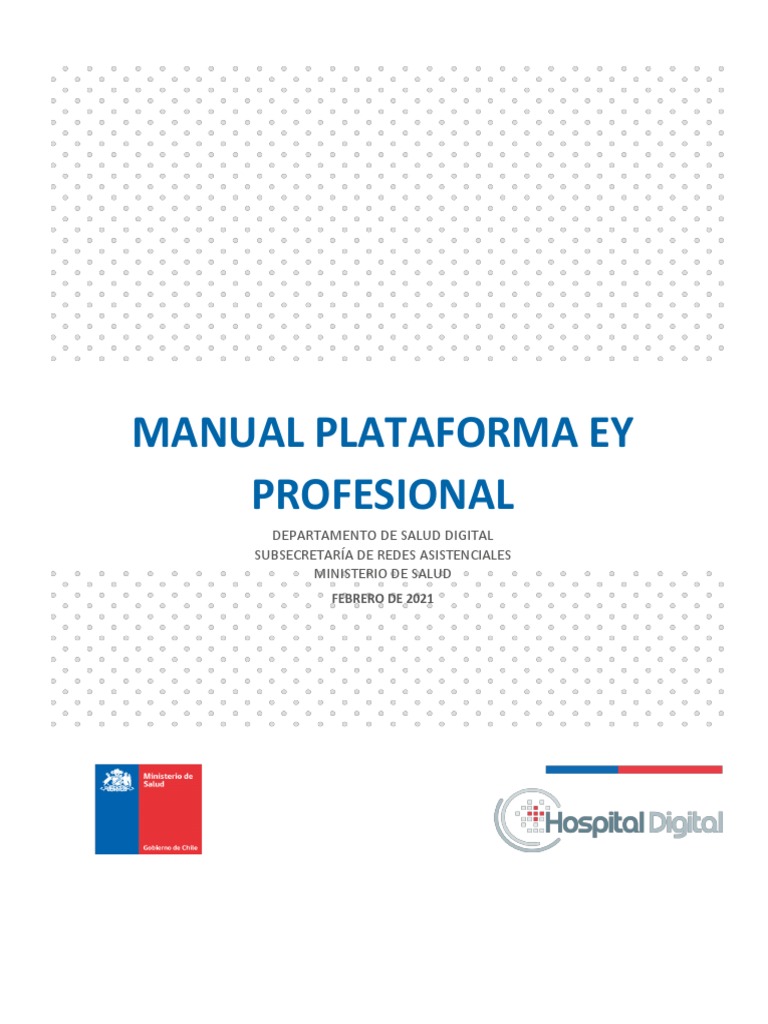 Manual EY Profesionales | PDF | Chat en linea | Contraseña