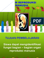 Organ Reproduksi