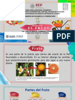 El Fruto