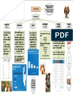 Mapa Conceptual Industria Chocolatera