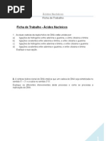 Ficha de Trabalho No2 Acidos Nucleicos