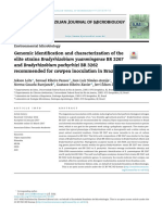 Bradyrhizobium Yuanmingense Bradyrhizobium Pachyrhizi