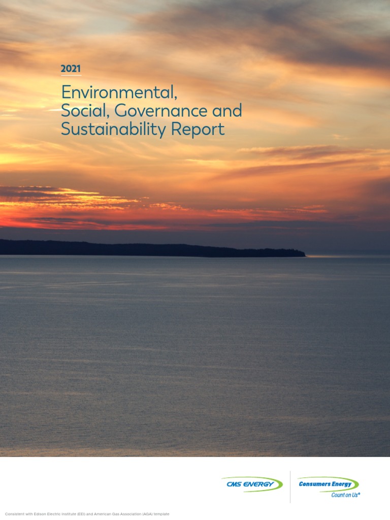 Environmental, Social, Governance and Sustainability Report | PDF ...