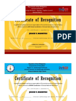Certificate of Recognition: Western Mindanao Zamboanga Del Norte - Dipolog - Dapitan Council Sibutad District