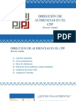 SIETEMA DE AUDIENCIAS NCPP (3)