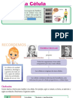 Cómo Están Formadas Las Células Clase #2 Unidad 0 Celulas Procariontes Eucariontes