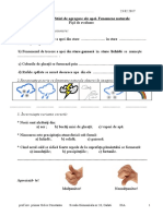 Geles Stiinte Evaluare Iiia