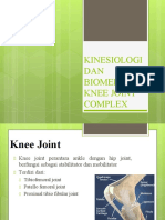 Knee Joint