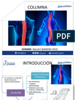 Barrenocruznallely Columna