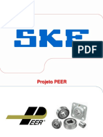 Apresentação Skf-Peer
