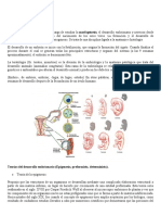 biologia eluimar curso