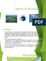 Parque Ria Formosa Natureza Algarve