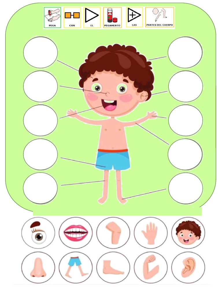 Las Partes Del Cuerpo | PDF