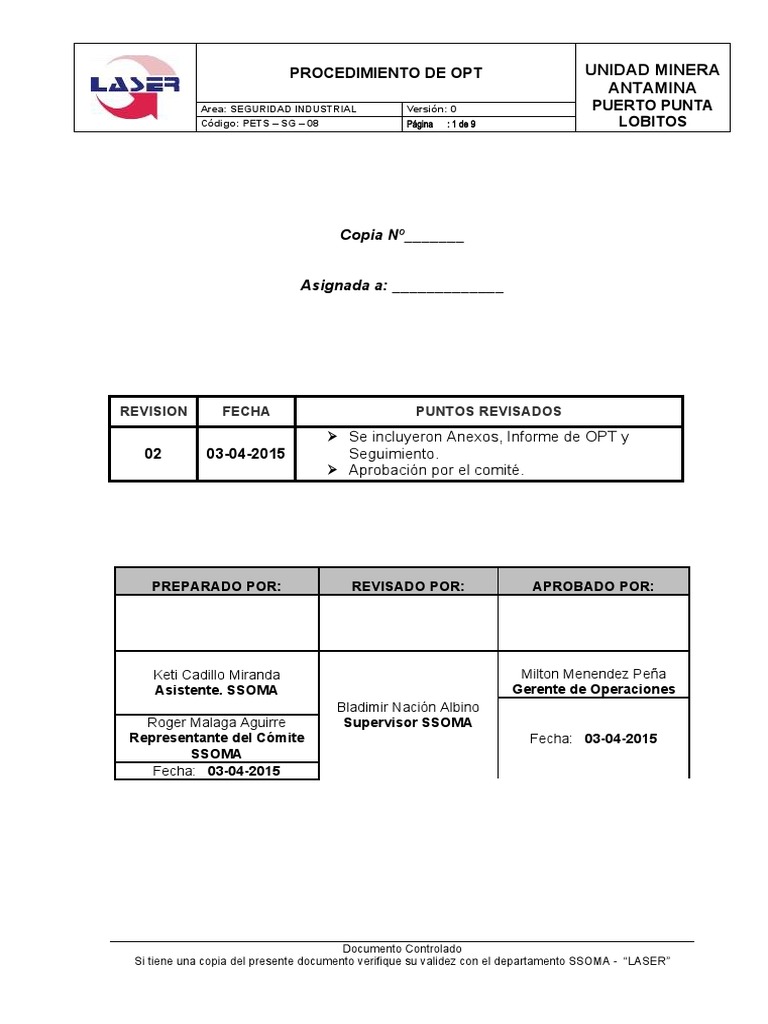 Procedimiento de Observación Planeada (OPT) | PDF | Negocios | Informática