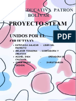 Proyecto Steam 1