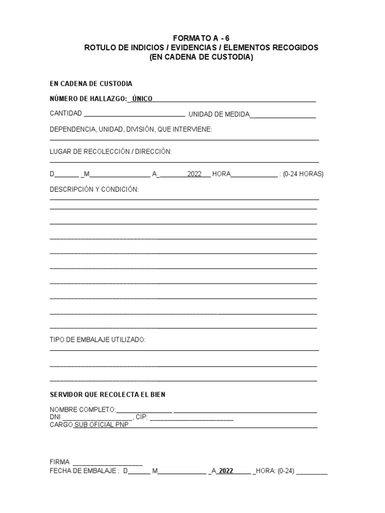 Formato 6 y 7 de Cadena de Custodia | PDF | Evidencia
