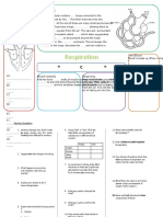 Circulation and Respiration Revision EOY