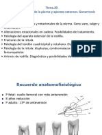 Tema 30 Patologia estática de la pierna y aparato extensor