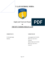 Equity and Trust Law Project