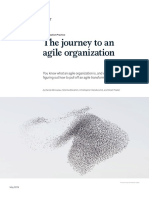 The Journey to an Agile Organization 