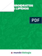 Carboidratos e lipídios: funções e importância