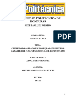 Ensayo Crimen Organizado en Honduras (Evolucion, Carasteristicas, Organización e Influencias)