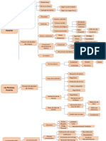 Mapas conceptuales DVP