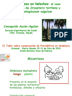 Presentaciones Taller Pteridofitos Parte6