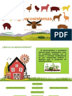 Esquema de Agroecosistemas y Ciclos