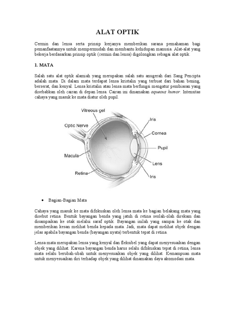 Alat Optik | PDF