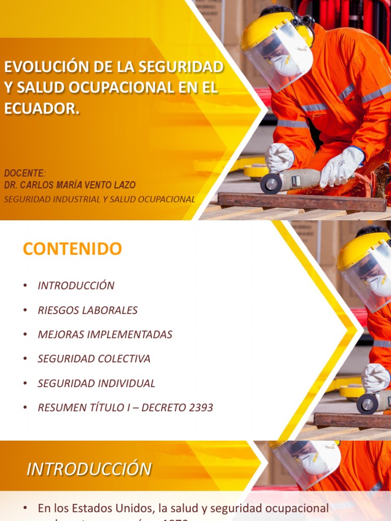 Seguridad y Salud Ocupacional en Ecuador | PDF | Seguridad y salud ...