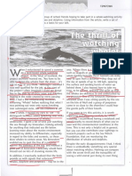 In Addition, I Eventually Realised That The Birds Provide Us With Signals That Cetaceans - Whales, Dolphins and Porpoises - May Be in The