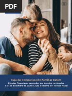 Informe Financiero 2020