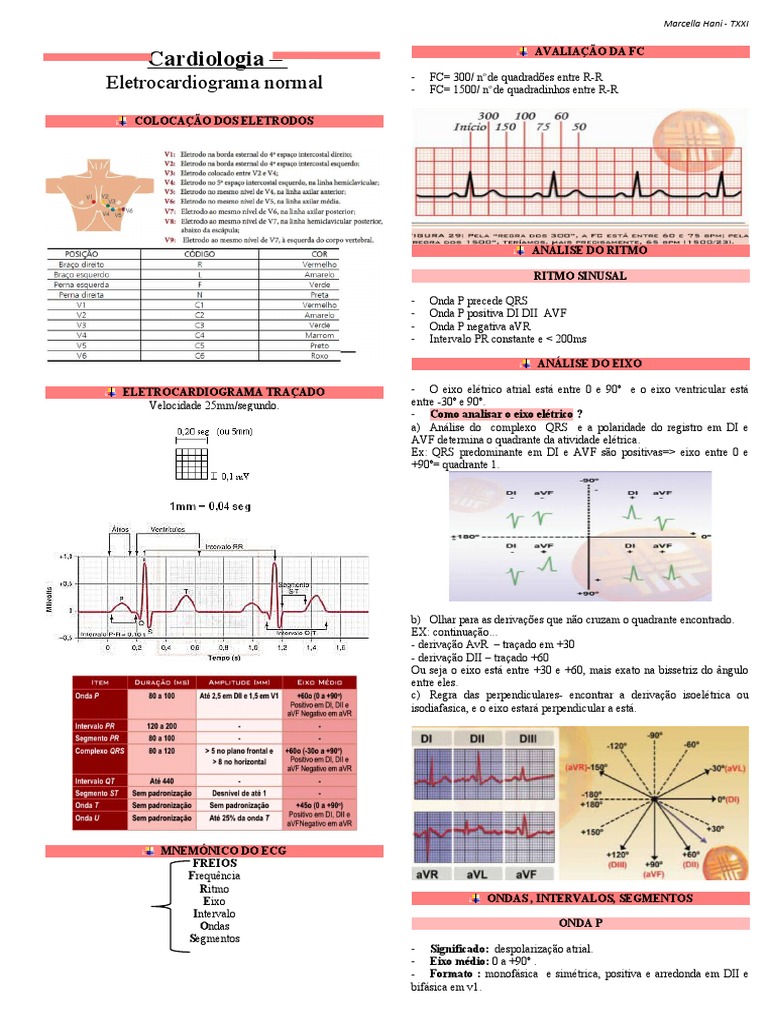 Cardiologia Resumo 2 - Eletrocardiograma Normal | PDF ...