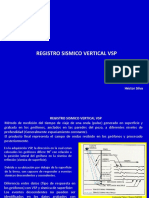 Registro Sismico Vertical VSP: Héctor Silva