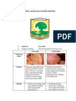 Linea Alba Dan Coated Tongue