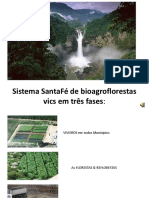 IV- Planejamento de execução Sistema SantaFé de bioagroflorestas vics