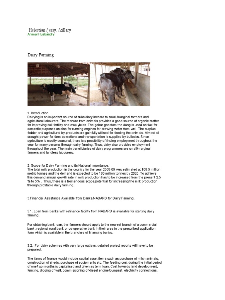 Dairy Farming Project 1 | PDF | Agriculture | Dairy
