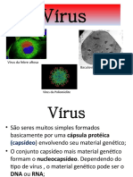 Principais vírus e suas características