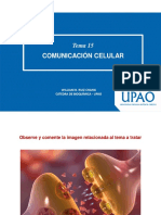 Sesión 15 - Comunicación Celular