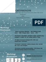 Materi 3. PPT Kromosom