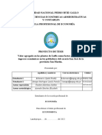 Proyecto de Tesis - Valor Agregado en Las Plantas de Luffa Como Factor Generador de Ingresos Económicos en Los Pobladores Del Caserío San José.