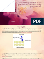 4.12 Estructura y Funcion de Los Glucolipidos, Cerebrosidos