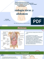 Cirugía - División Anatómica Abdominal y Estructural