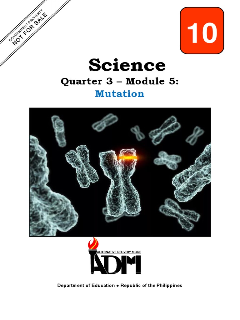 Types of Gene Mutations Explained | PDF | Point Mutation | Genetic Code